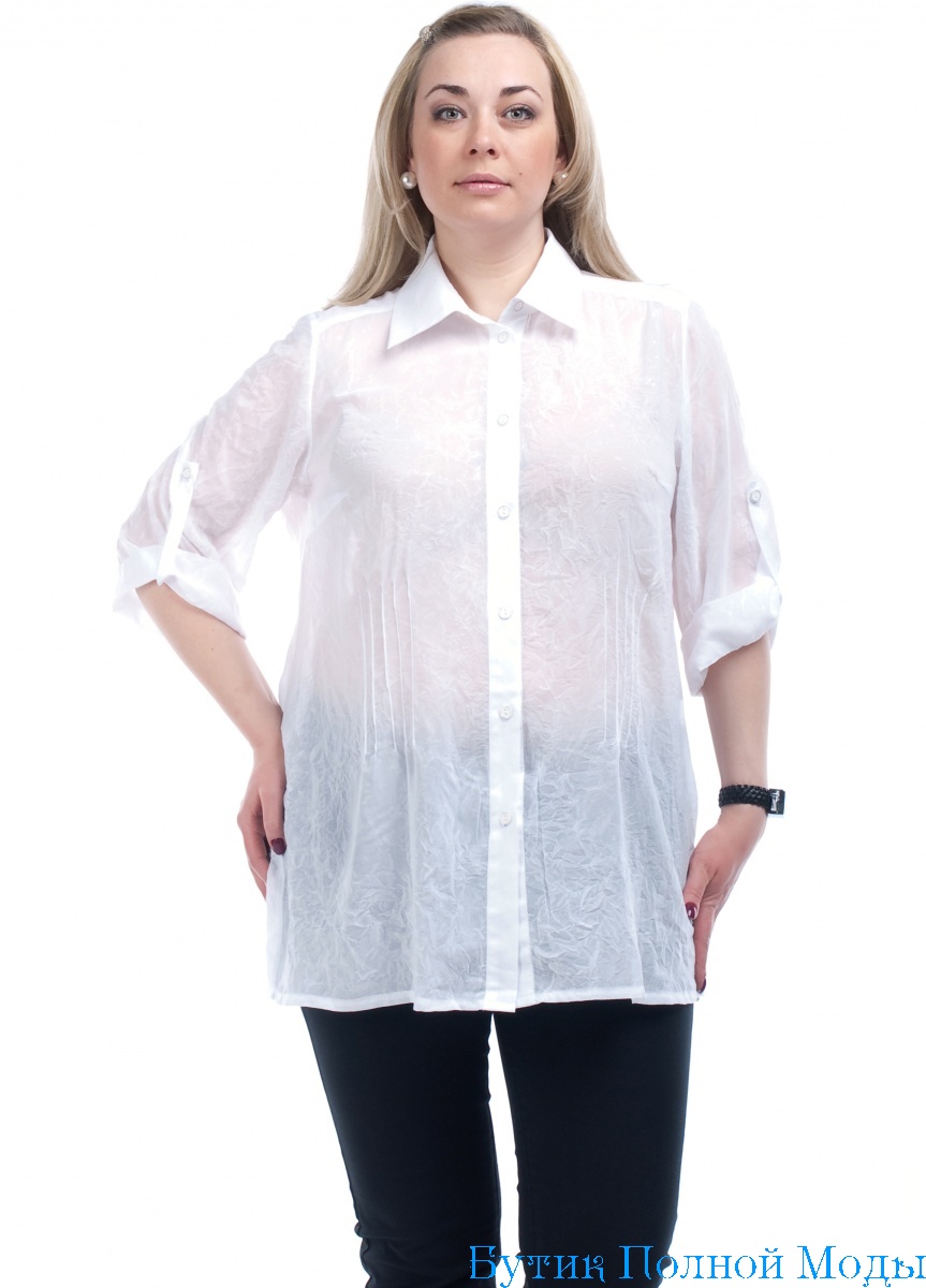 Длинные блузки больших размеров. Olsi / блузка 17148184. Белая блузка. Блузки для полных женщин. Белые блузки для полных.